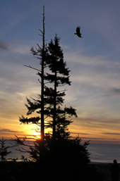 Queen Charlotte Islands